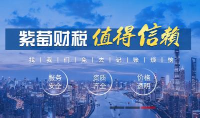 河南紫萄财务咨询服务有限公司